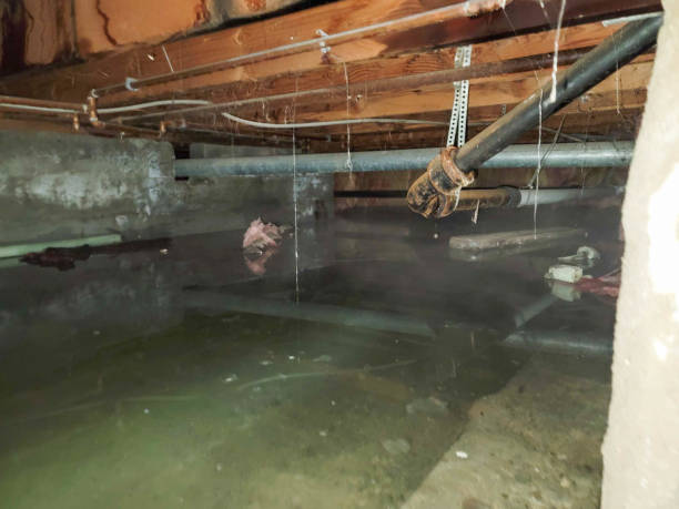 Best Water damage cleanup near me  in Bazon, CA