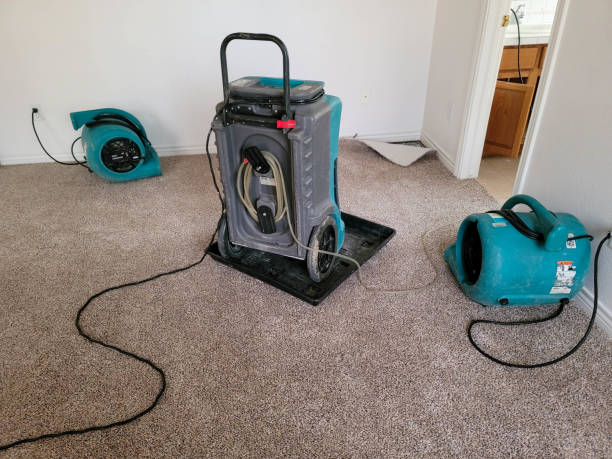 Best Basement water damage restoration  in Bazon, CA
