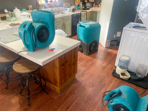 Best Water damage contractors near me  in Bazon, CA