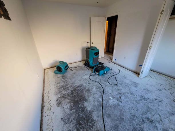 Best Ceiling water damage repair  in Bazon, CA