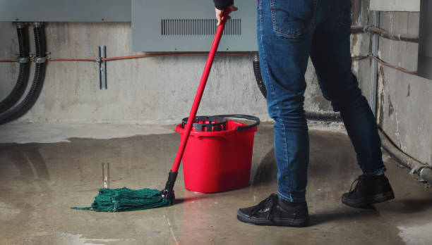 Best Local water damage restoration  in Bazon, CA