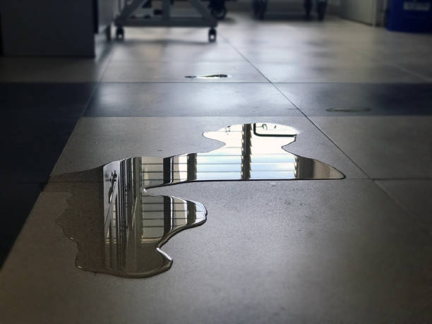 Best Water damage restoration experts  in Bazon, CA