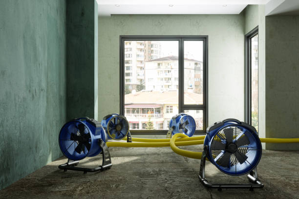 Water damage restoration insurance claims in Cabazon, CA