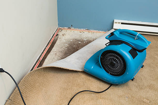 Best Flood damage cleanup  in Bazon, CA